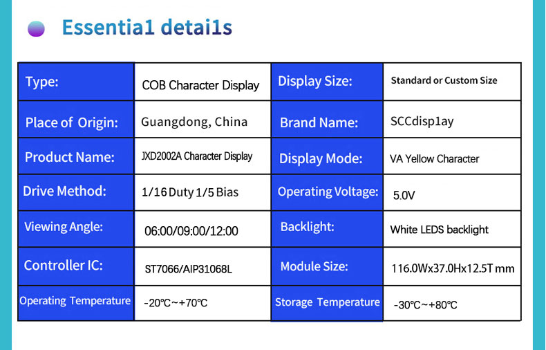 20x2 Programmable LCD Display Module for Compact Panels