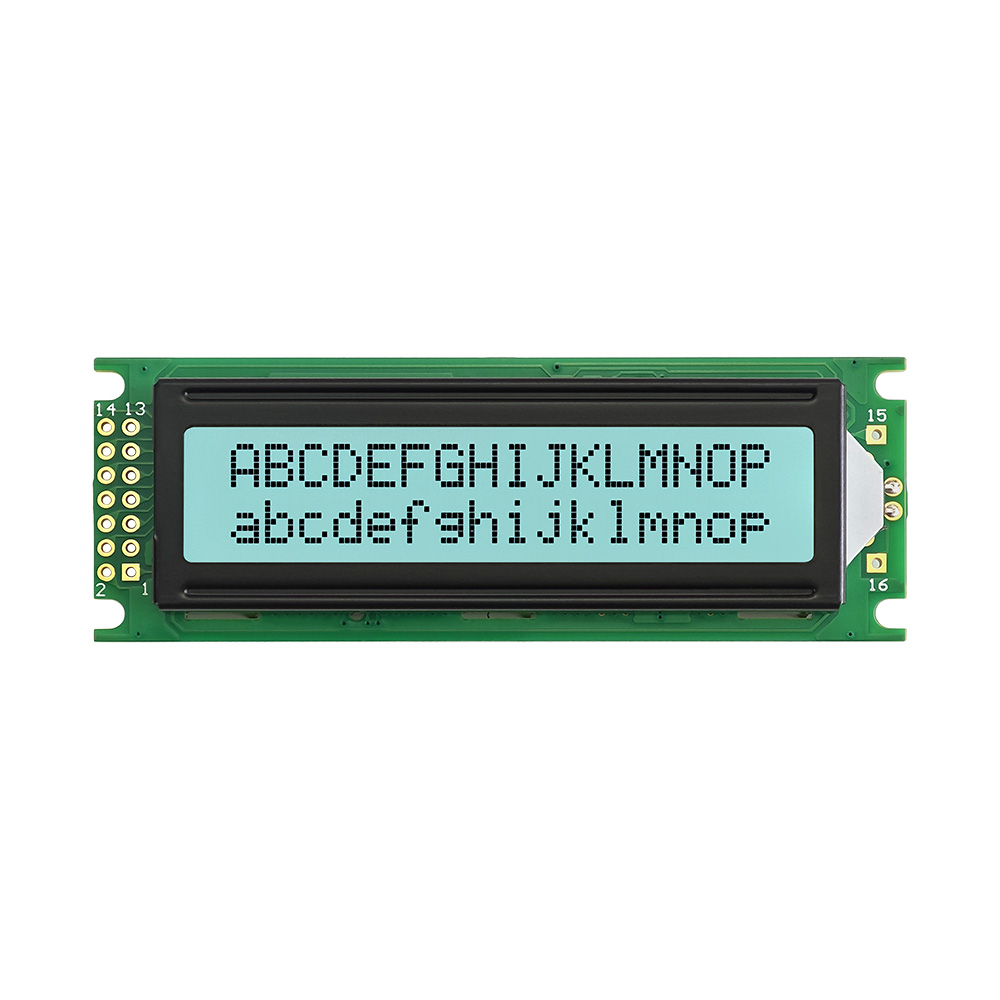 1602 Персонаж LCM