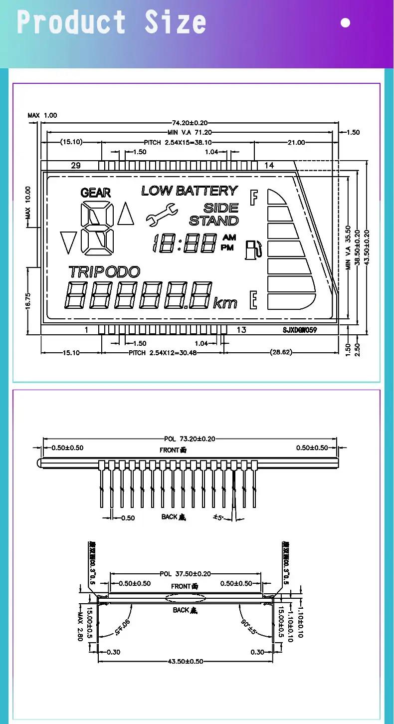 Custom LCD Display