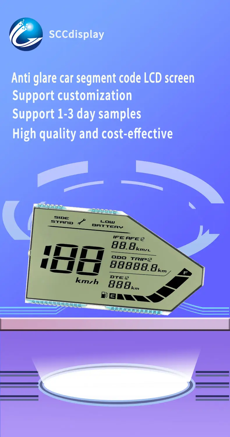 Special Segment LCD