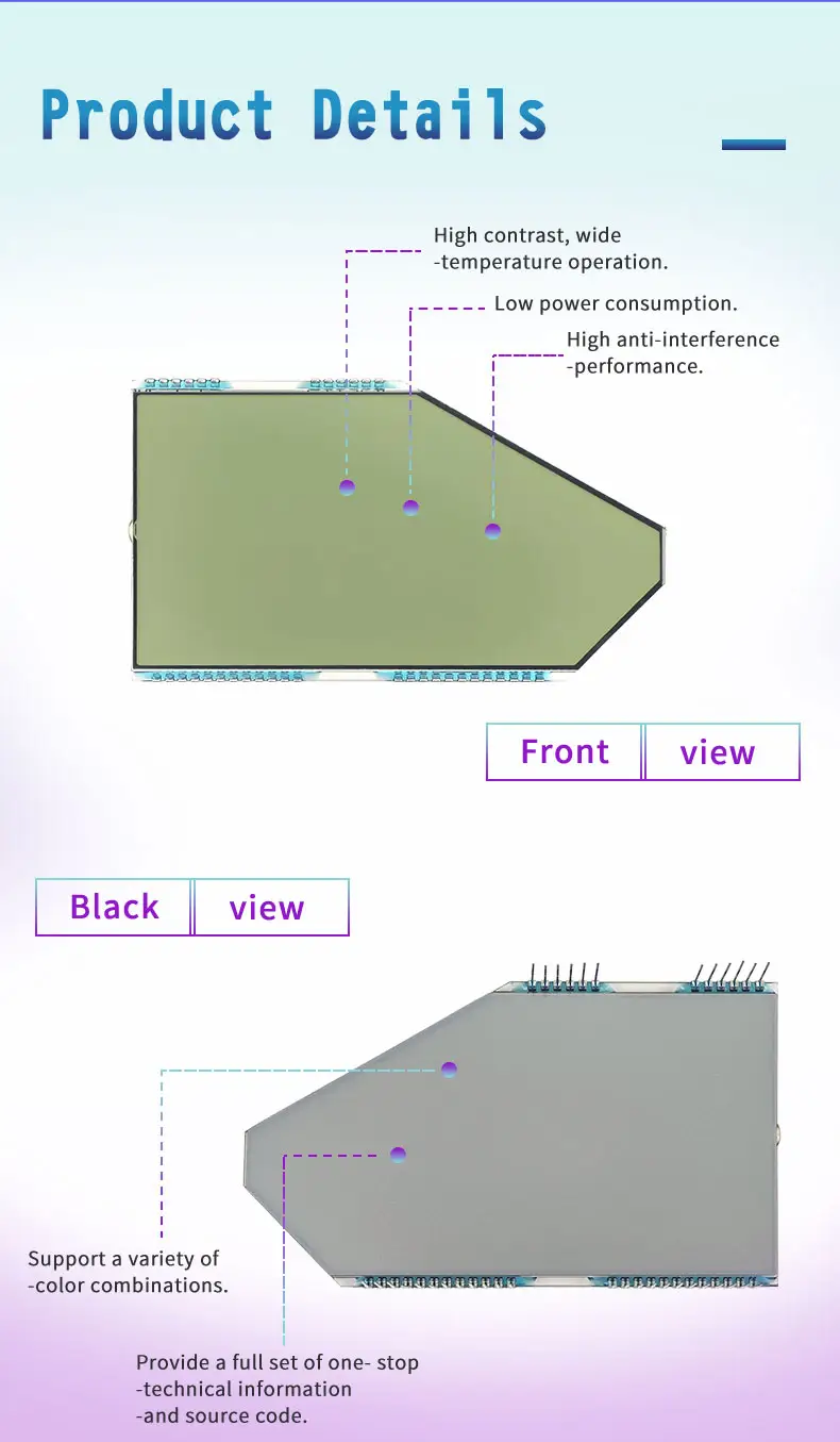 Special Segment LCD