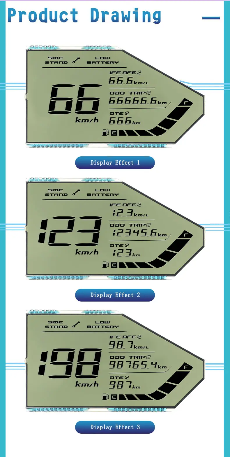 Special Segment LCD