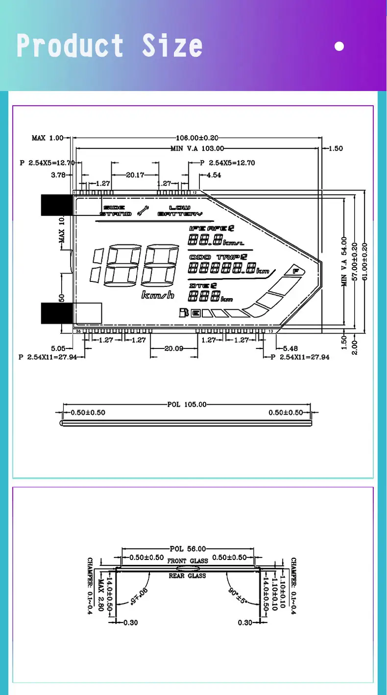 Special Segment LCD
